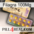 Filagra 100Mg new06